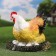 Garden figure "Chicken on the nest" 32x38x38cm