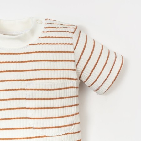 T-shirt T-shirt, I am Basic Line, height 74-80 cm, beige strip-2
