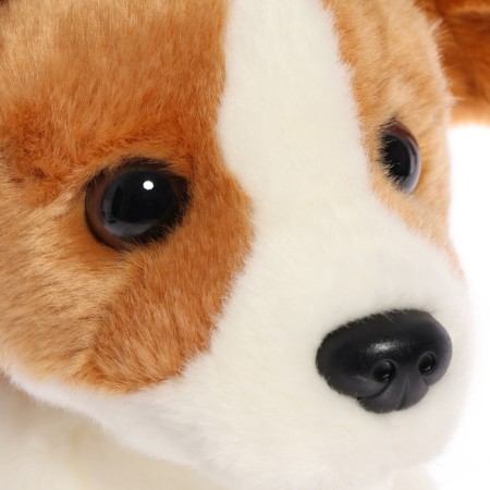 Soft toy "Dog Jack-Rassel", 20 cm-4