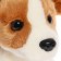 Soft toy "Dog Jack-Rassel", 20 cm