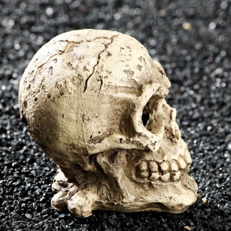 Decor for the Aquarium "Skull", 10 x 8 x 9 cm-3