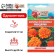 Flower seeds of marigolds rejected "mandarin", terry, 0.3 g