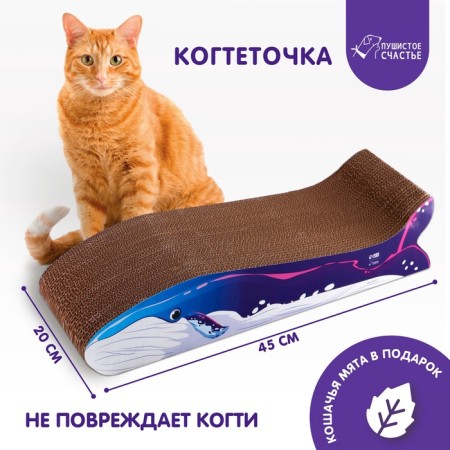 Coopete from cardboard with cat mint "Kit", 45 cm x 20 cm x 9 cm-1