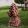 Garden figure "Dog on the hind legs" beige, 25x15x14cm