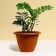 Flower pot, d = 35 cm, 12 l, plastic, brown