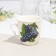 Mug "Fruits", 200 ml, ceramics, mix