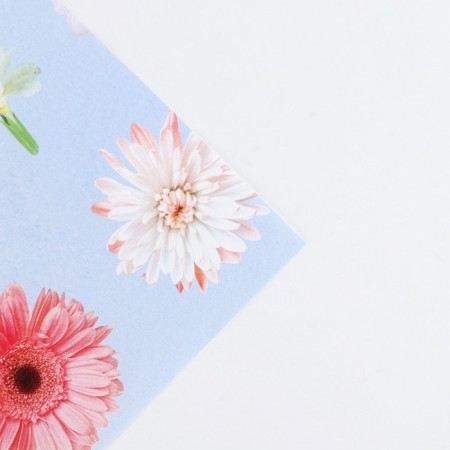 Glossy packaging paper "Chamomile", 70 x 100 cm-2