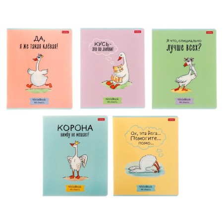 Notebook of 48 sheets in the cage "Goose-Sweat I No. 1", cover coated cardboard, rounded corners, 5V, mix