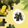Training set "In the world of dinosaurs", book and puzzle