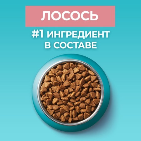 Dry food Purin One for sterilized cats, salmon/wheat, 750 g-4