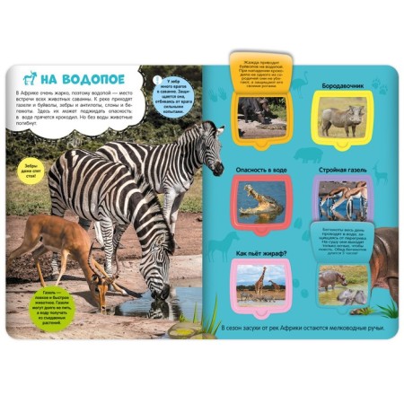 Book with the windows "Savannah"-1