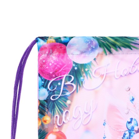 New Year. Bag under the sweets of 290 x 340 mm "cat-princes" (soft polyester density 210d)-3