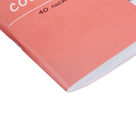 Album for drawing A4, 40 sheets on the clip "Fox", cover coated paper 120 g/m², internal block offset 100 g/m²-2