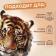 Tiger Watermaker Tiger, 19.4 × 18.9 cm