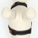 Cluck K7 soft reflective, size XS, OG 34-44 cm, weight 2.5-5 kg, khaki