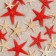 A set of natural sea stars, 1.5 - 2.5 cm, 20 pcs, red - white
