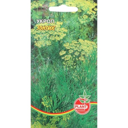 Semen dill "Umbrella", 1 g