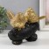 Polystone souvenir "Two golden birds on a branch" 16x7x15 cm
