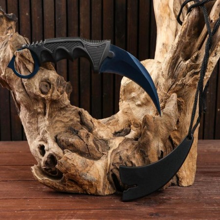 Knight Knorambit "Eagle's Claw" 20cm, blade 90mm/2.1 mm, blue-1