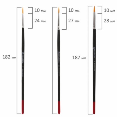 Set of brushes, synthetics, 5 pieces, brauberg (round, No. 1, 2, 3, 4, 5), blister-3