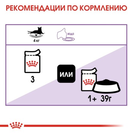 Wet RC Sterilated food for sterilized cats, jelly, spider, 85 g-4