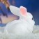 Piggy bank "Bunny" White, 18x11x15cm