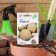 Melon Seeds "Altai", 0.5 g Series Hit X3