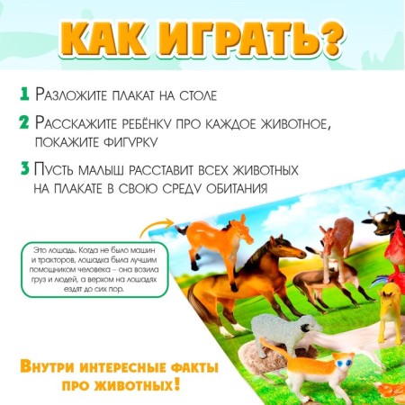 Training set "Funny Animals": animals and poster, according to the Montessori methodology-1