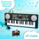 Synthesizer "Funny Melodies" with a microphone, 37 keys