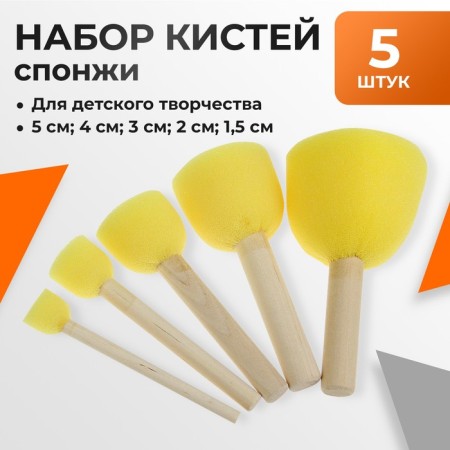 Set of brushes - sponge, 5 pieces