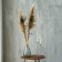 Feather Pavlin for decor, size - from 90 to 100 cm
