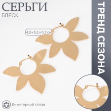 Earrings Metal 