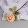 Artificial flowers "silk rose" d-10 cm 45 cm, cream