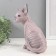 Figure "Kitten Sphinx" 22 x 10 x 21 cm.