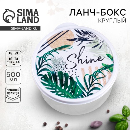 Ланч-бокс Shine, 500 мл-1
