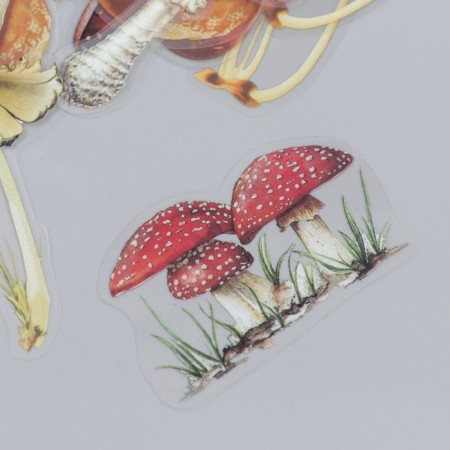 Stickers for creativity "Mushrooms" set 40 pcs 12x9 cm-1