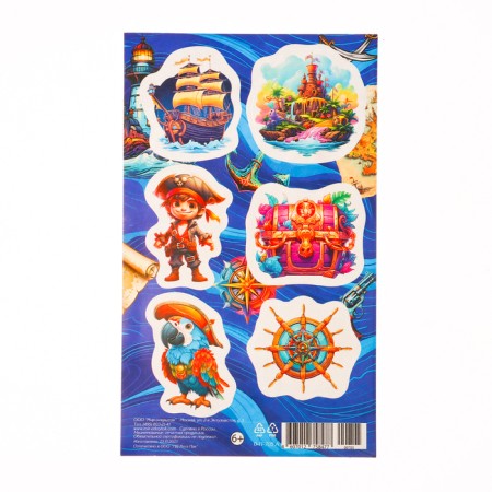 Pirate stickers 10x16 cm