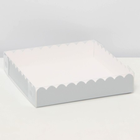Box for cookies, silver, 15 x 15 x 3 cm
