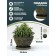 Pot for flowers and plants with a pallet, wood charcoal 30.5x21.8x17.2cm, 4l