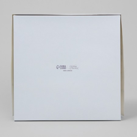 Confectionery packaging, a box with lamination "Blave", 20 x 20 x 4 cm-2