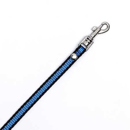 Kapronic leash, 1.6 m x 1 cm, black-blue-4