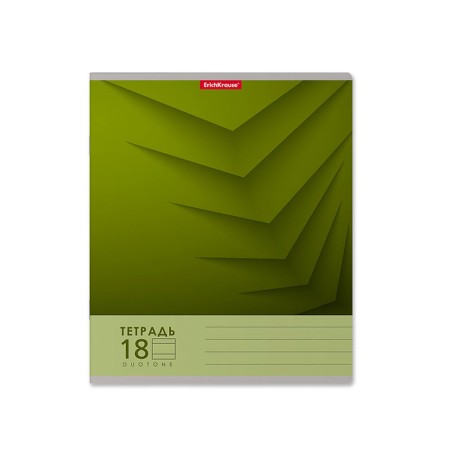 A notebook of 18 sheets in the Erichkrause "Duotone Next", the cover coated cardboard, an offset block 100% whiteness, mix-5