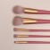 A set of makeup brushes, 5 objects, pink color