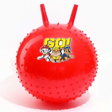 Massage jump with PAW PATROL GO, D = 45 cm, weight 350 g, Mix color-5