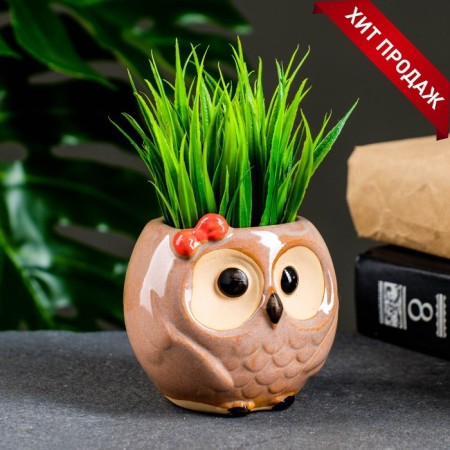 Pot "Boom owl" 7x6x6.5cm