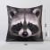 Antistress pillow "Raccoon"