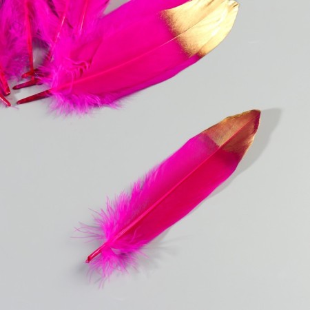 A set of goose feathers 15-20 cm, 10 pcs, fuchsia with a golden tip-3