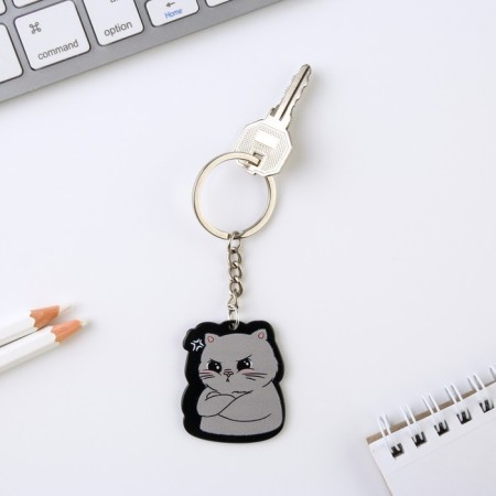 Acrylic key a keychain “I am harmful”, 7 x 12.5 cm-1