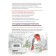 Vector graphics for beginners. Theory and practice of technical design. Polyakov E.