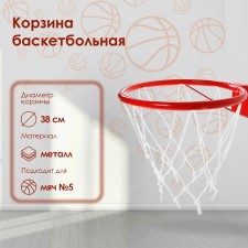 Basketball basket No. 5, d = 380 mm, with emphasis and grid